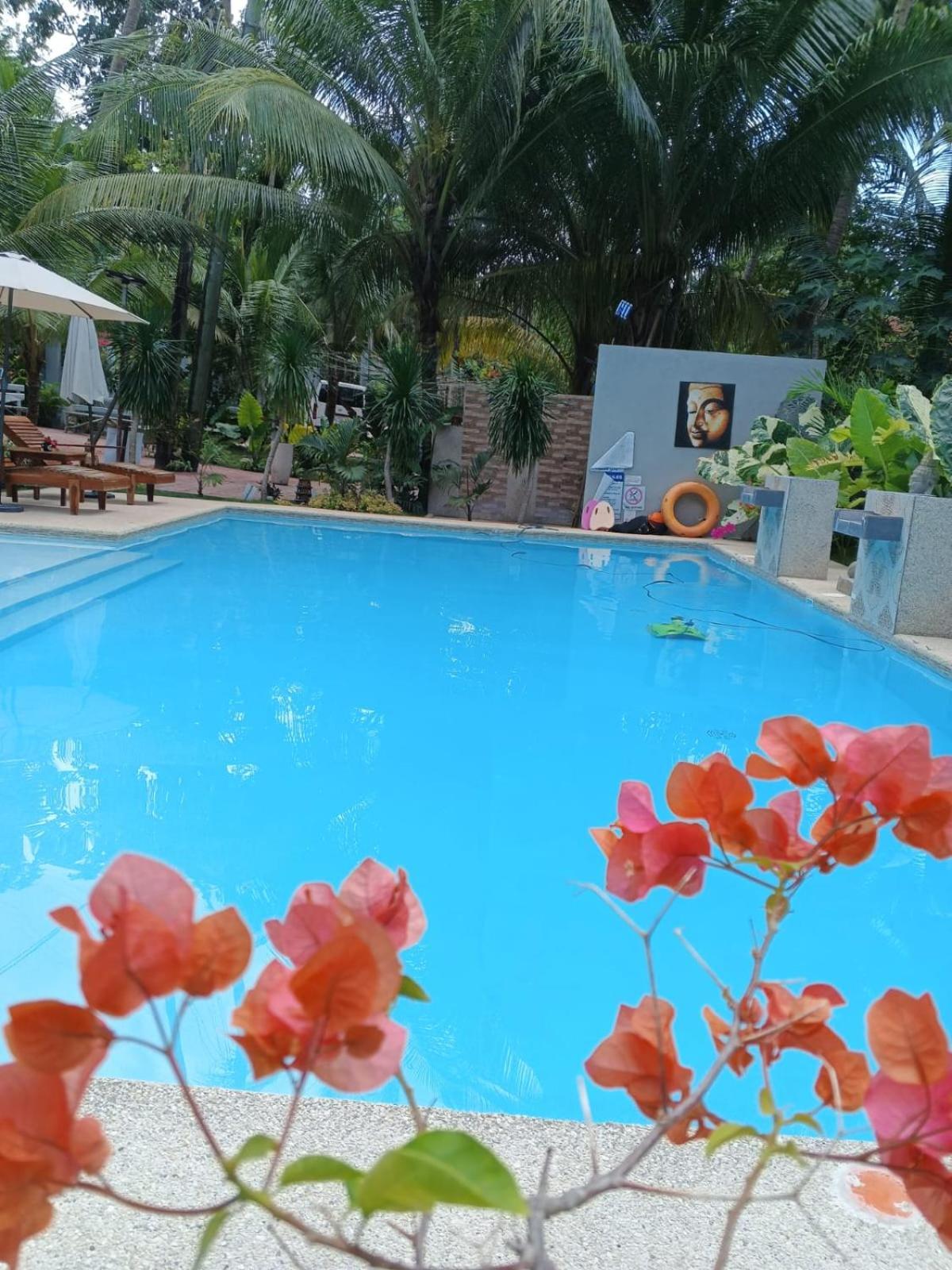 House Rental Banaba Tree Samboan Екстер'єр фото